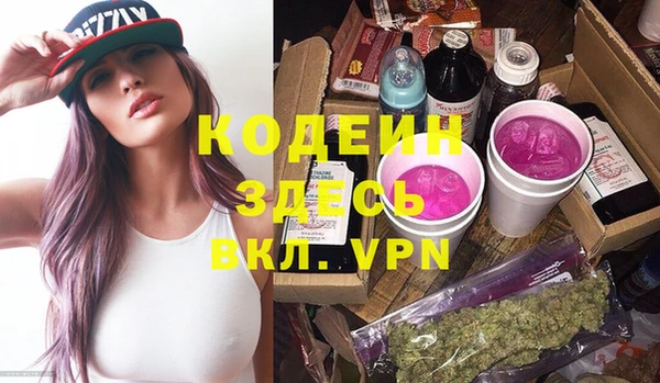 шишки Осинники