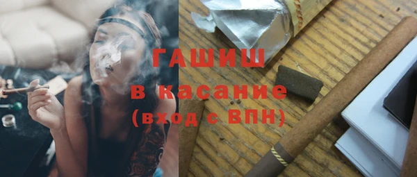 шишки Осинники
