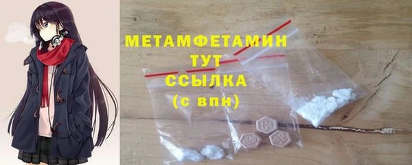 шишки Осинники
