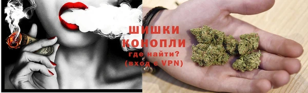 шишки Осинники