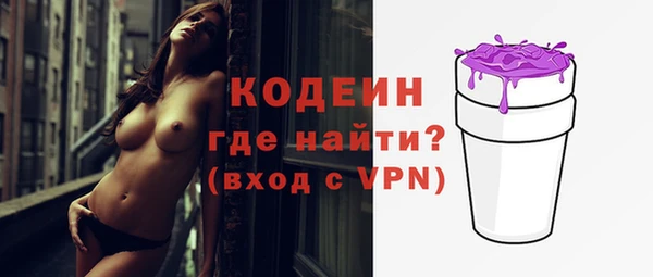шишки Осинники
