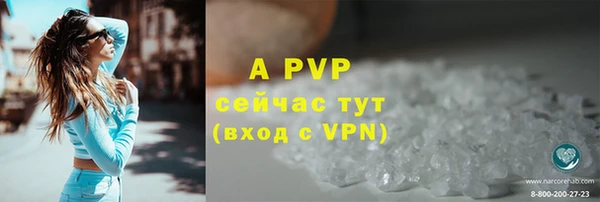 шишки Осинники