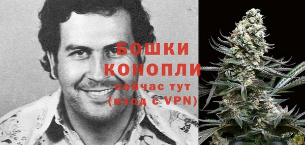 шишки Осинники