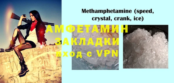 шишки Осинники