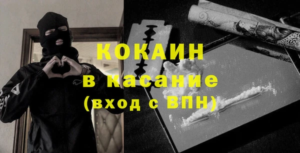 шишки Осинники
