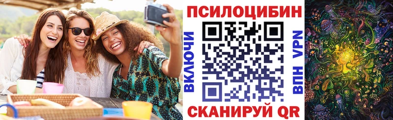 Псилоцибиновые грибы Psilocybine cubensis  Туран 