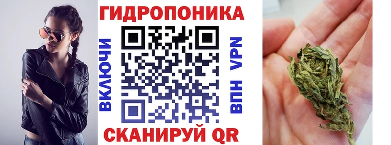 закладка  Туран  Марихуана семена 